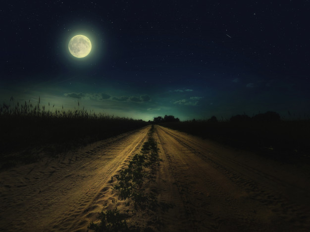 Rasa Night – Midnight walk